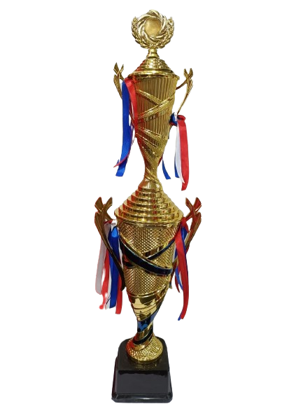 Award 5